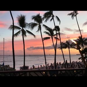 Meet your Posher, Ella